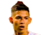 https://img.shuangchengdianqi.com/img/football/player/256dcd3c814bd8fea3fab644d67a539f.png