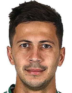 https://img.shuangchengdianqi.com/img/football/player/a7521cae3d55835286cc258209d1ffee.png